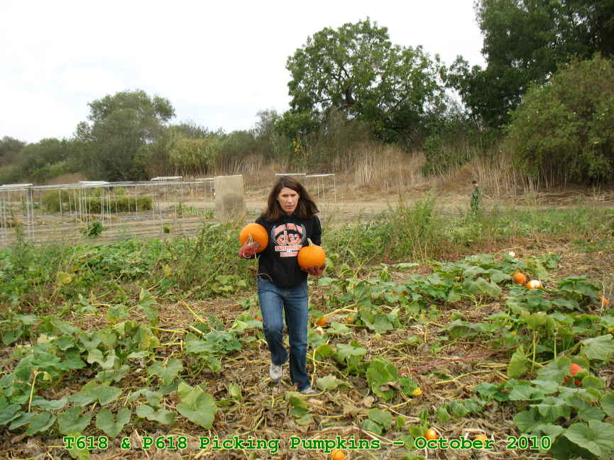 Picture 0014