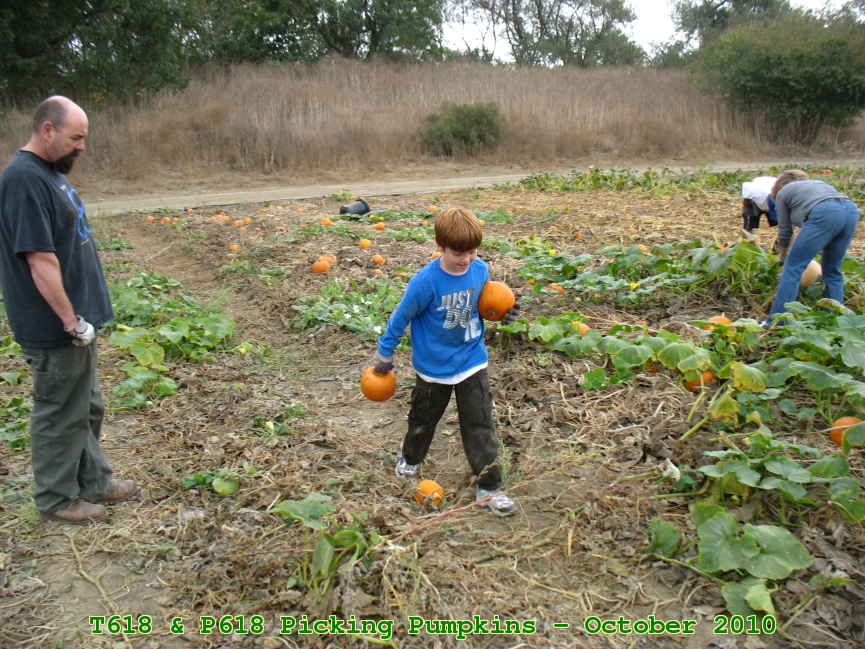 Picture 0015