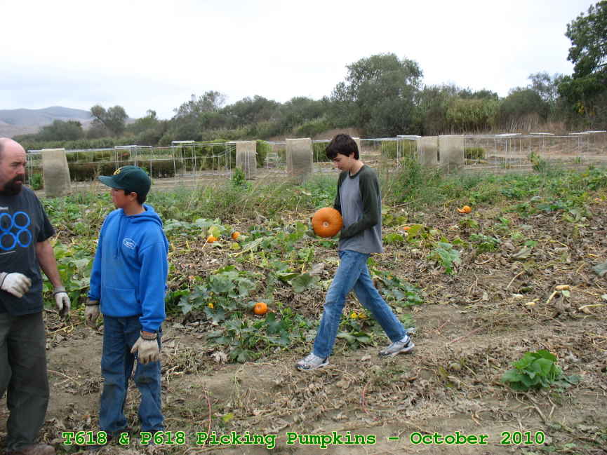 Picture 0020