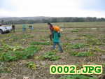 Picture 0002