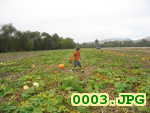 Picture 0003