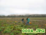 Picture 0004