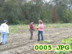 Picture 0005