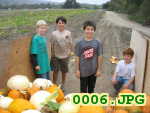 Picture 0006