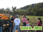Picture 0009