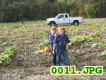 Picture 0011