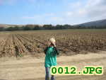 Picture 0012