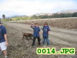 Picture 0014