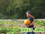 Picture 0017