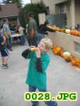 Picture 0028