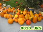 Picture 0030
