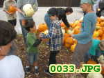 Picture 0033