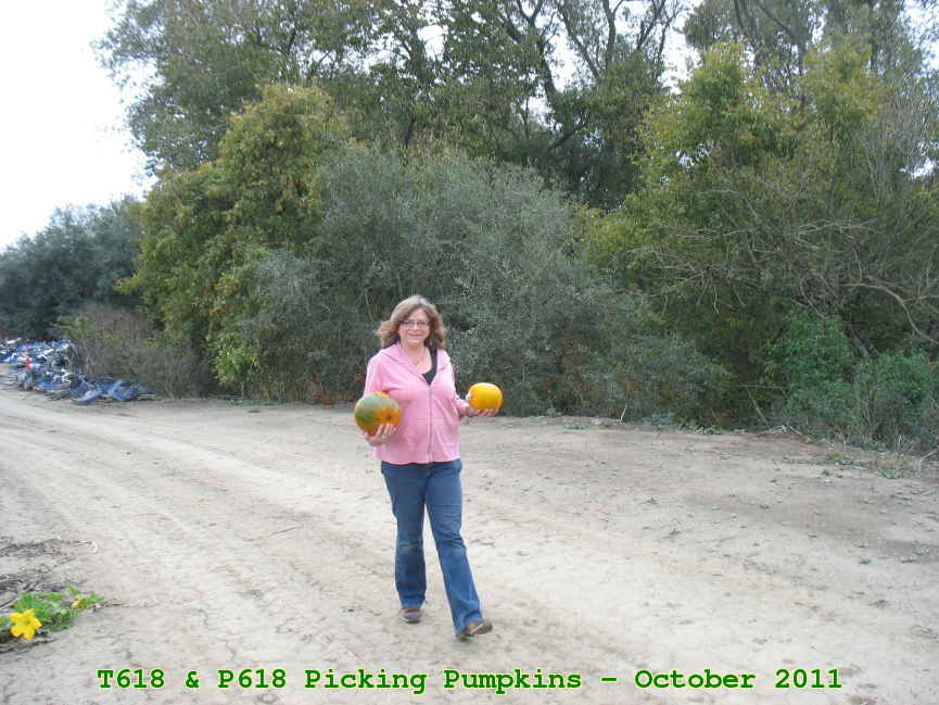 Picture 0001