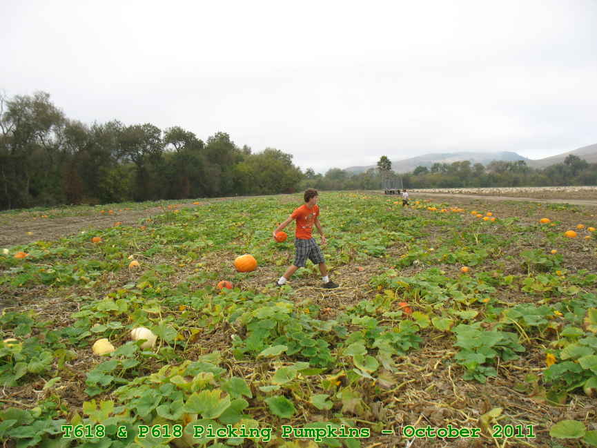 Picture 0003