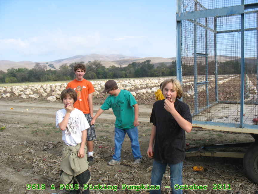 Picture 0007