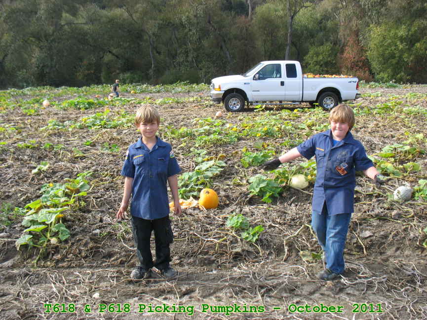 Picture 0010