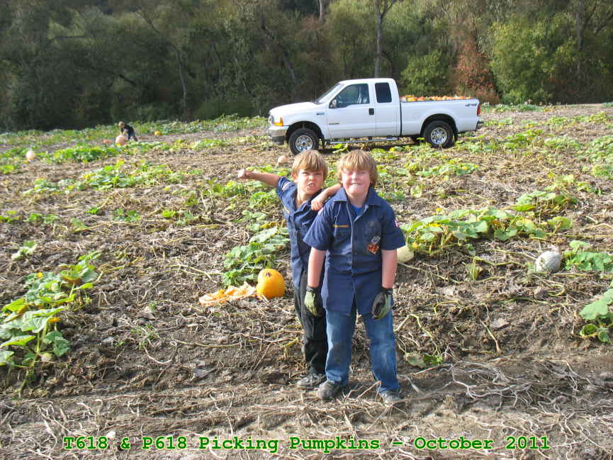 Picture 0011