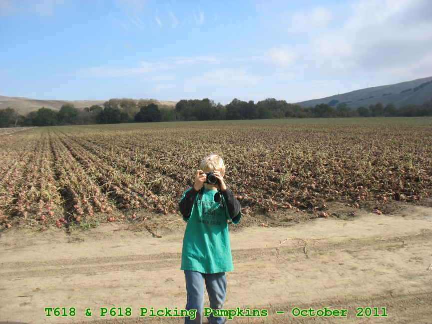 Picture 0012