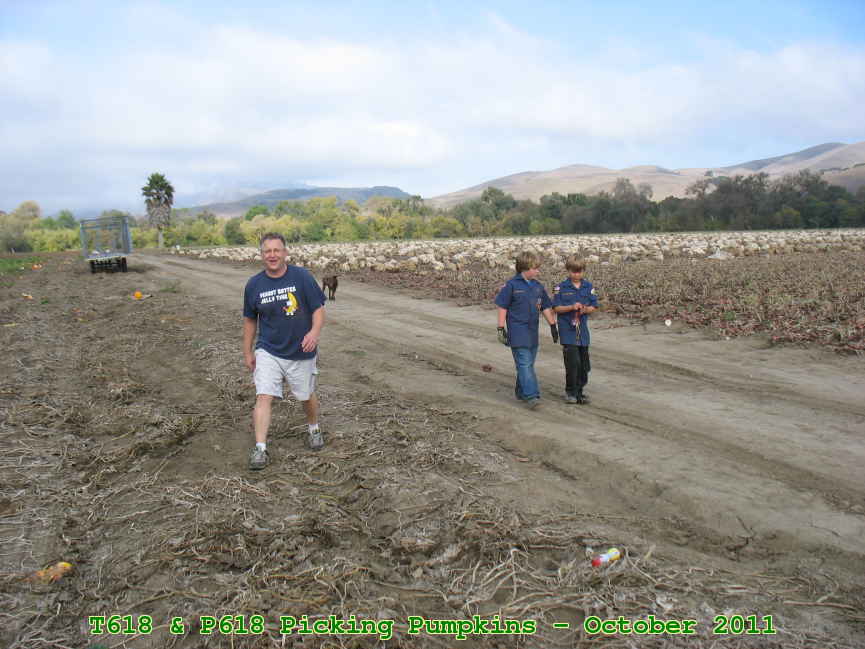 Picture 0013