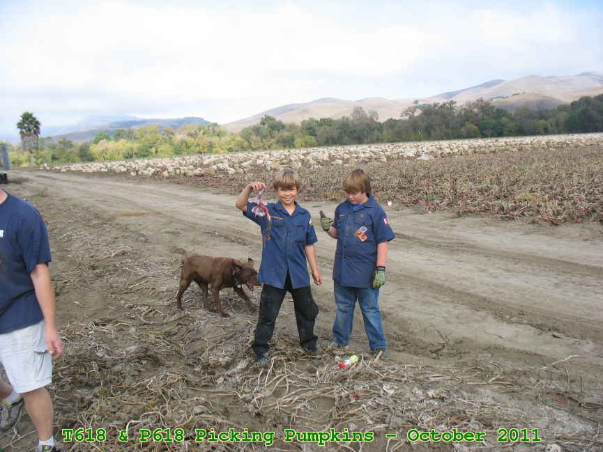 Picture 0014