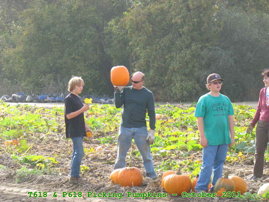 Picture 0016
