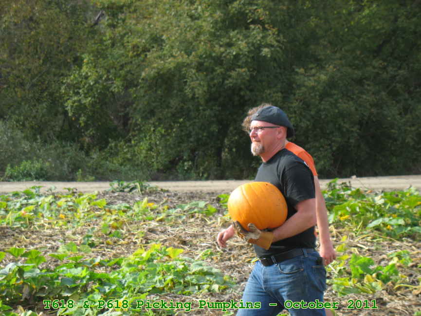 Picture 0017