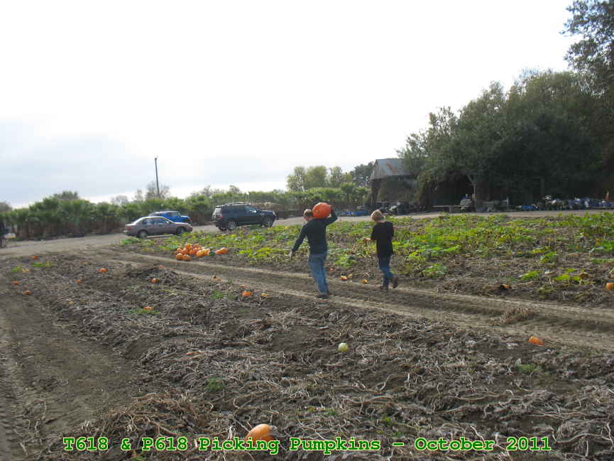 Picture 0018