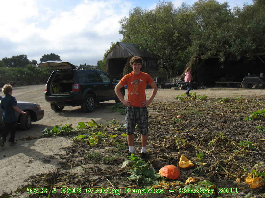 Picture 0019