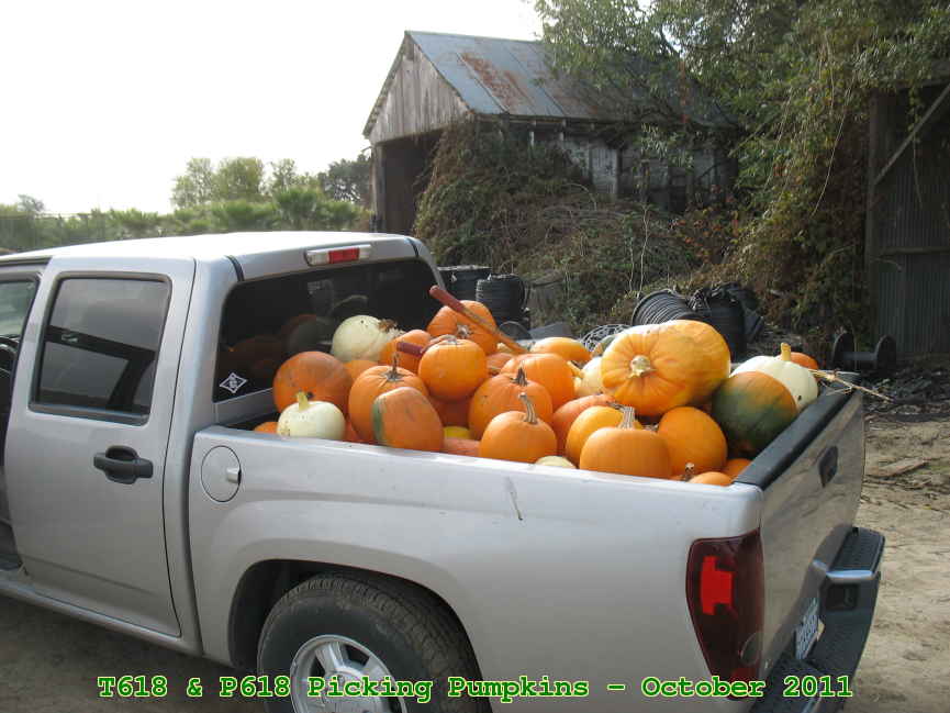 Picture 0024