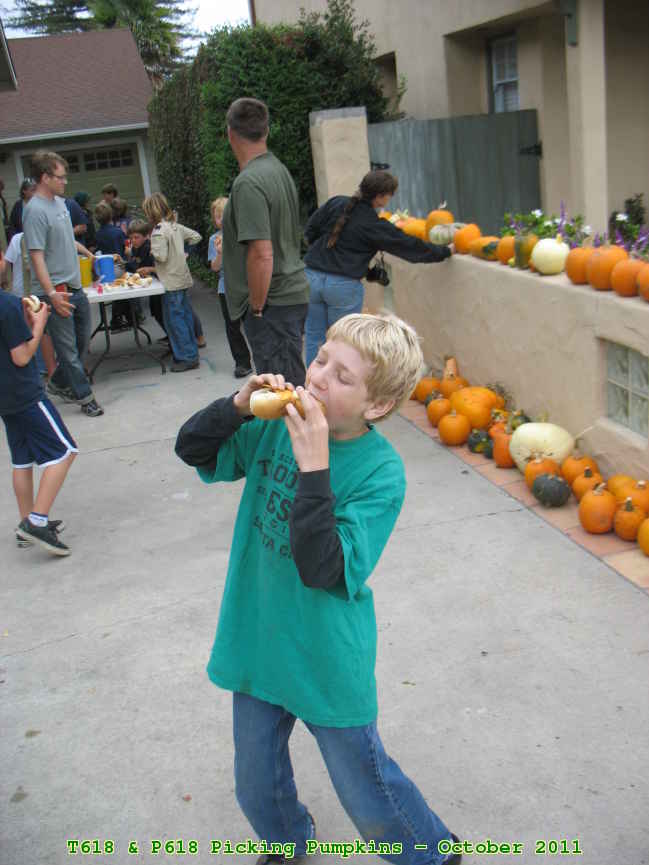 Picture 0028