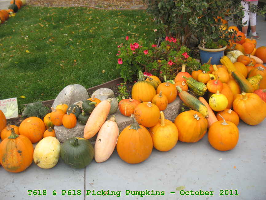 Picture 0029
