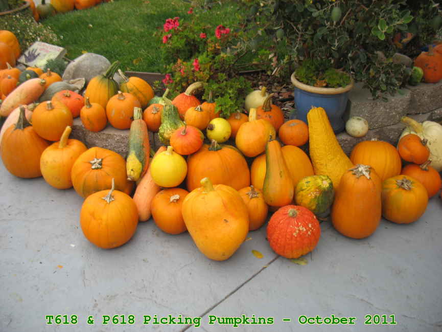 Picture 0030
