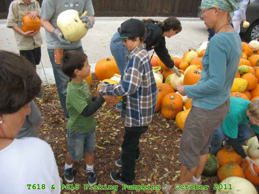 Picture 0033