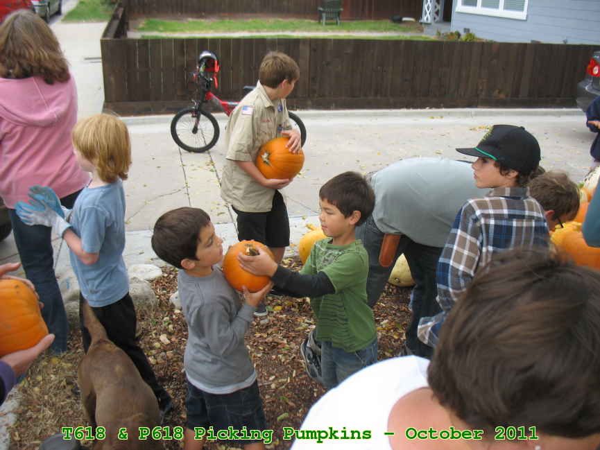 Picture 0034