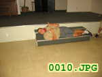Picture 0010
