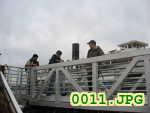 Picture 0011