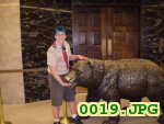 Picture 0019
