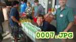 Picture 0007