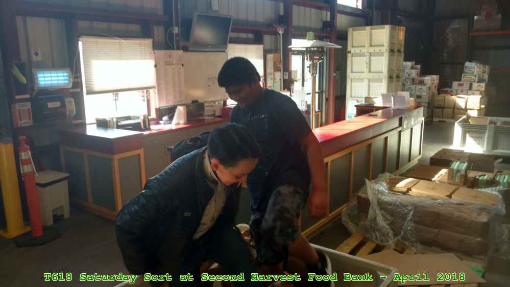 Picture 0011