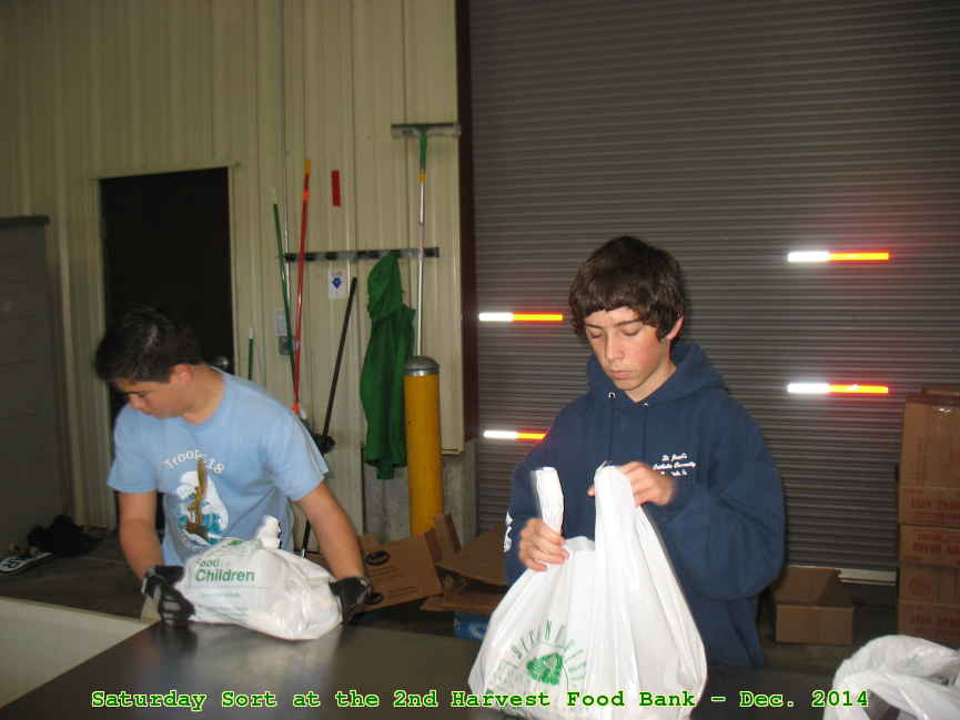 Picture 0003