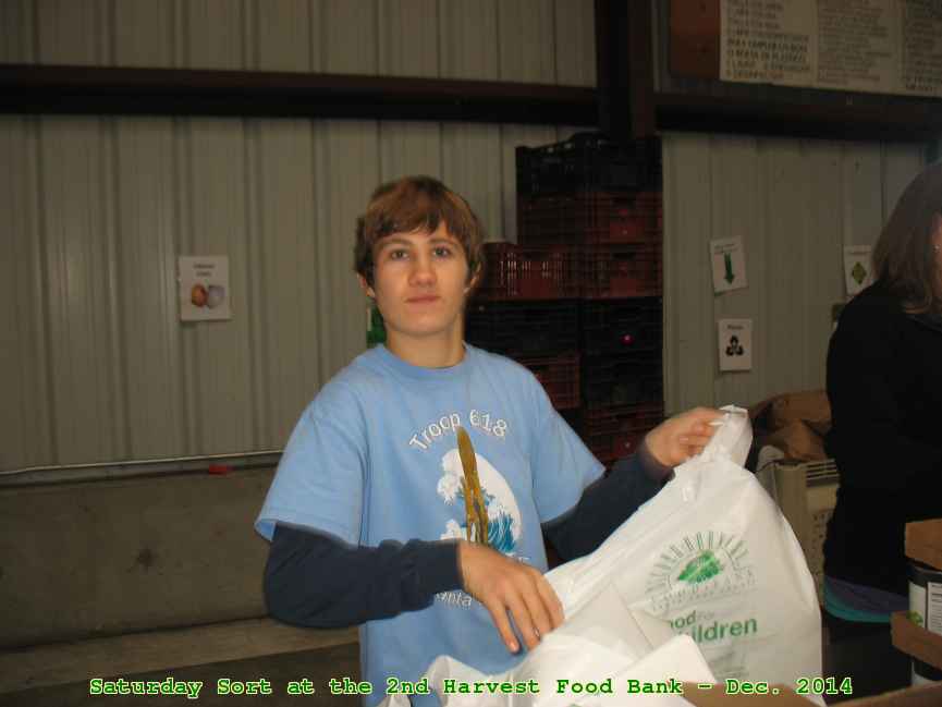 Picture 0005