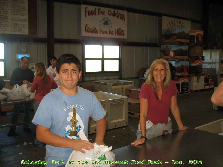 Picture 0008