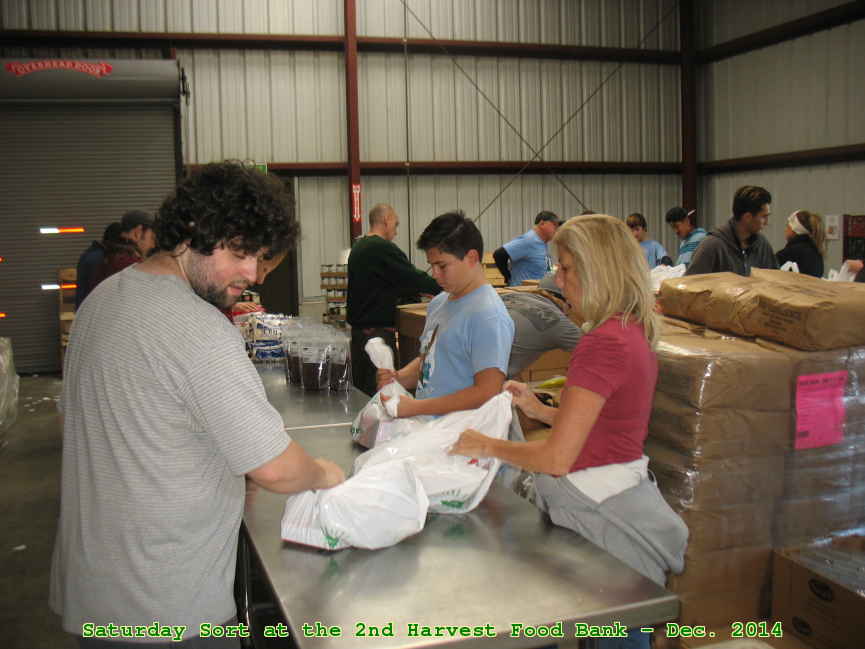 Picture 0015
