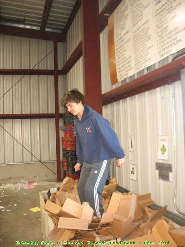 Picture 0017