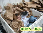 Picture 0025