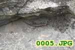 Picture 0005