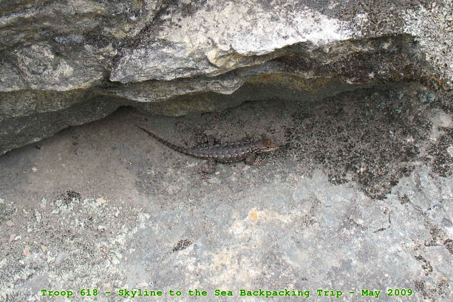 Picture 0005