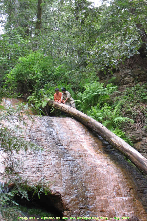 Picture 0007