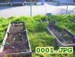 Picture 0001