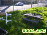 Picture 0002
